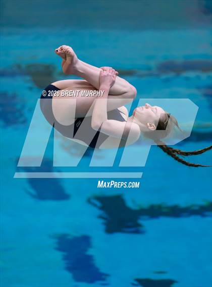Thumbnail 2 in CHSAA 4A Finals (Diving) photogallery.