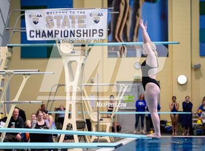 Thumbnail 3 in CHSAA 4A Finals (Diving) photogallery.