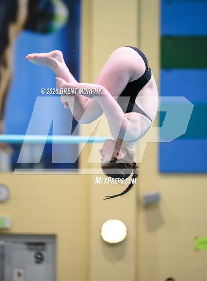 Thumbnail 1 in CHSAA 4A Finals (Diving) photogallery.
