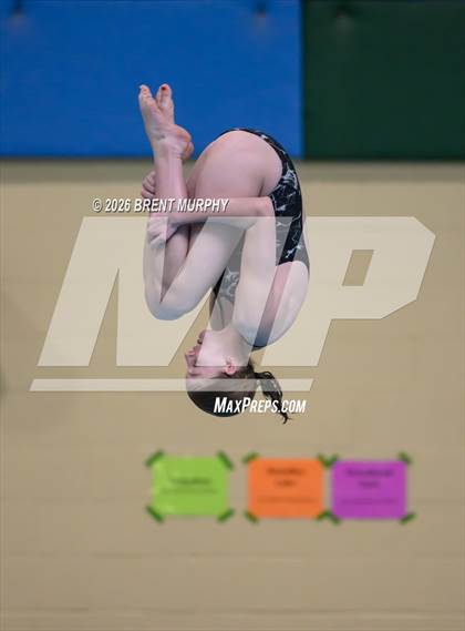 Thumbnail 3 in CHSAA 4A Finals (Diving) photogallery.