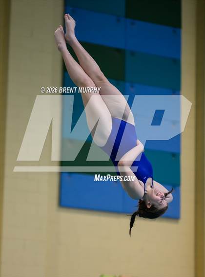 Thumbnail 1 in CHSAA 4A Finals (Diving) photogallery.