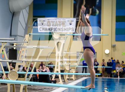 Thumbnail 1 in CHSAA 4A Finals (Diving) photogallery.