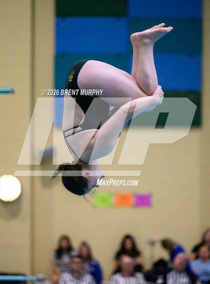 Thumbnail 1 in CHSAA 4A Finals (Diving) photogallery.