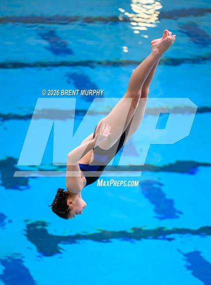 Thumbnail 1 in CHSAA 4A Finals (Diving) photogallery.
