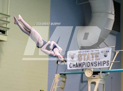 Thumbnail 2 in CHSAA 4A Finals (Diving) photogallery.