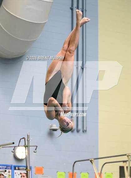 Thumbnail 1 in CHSAA 4A Finals (Diving) photogallery.