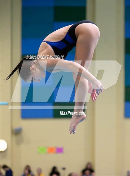 Thumbnail 1 in CHSAA 4A Finals (Diving) photogallery.