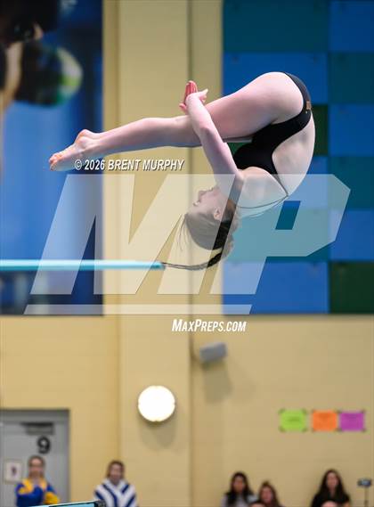 Thumbnail 3 in CHSAA 4A Finals (Diving) photogallery.