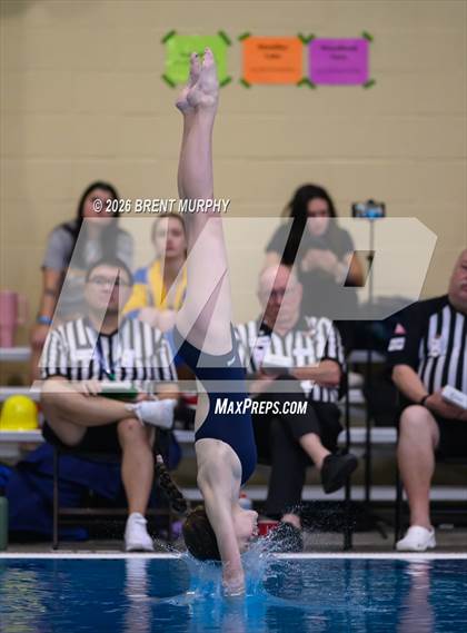 Thumbnail 3 in CHSAA 4A Finals (Diving) photogallery.