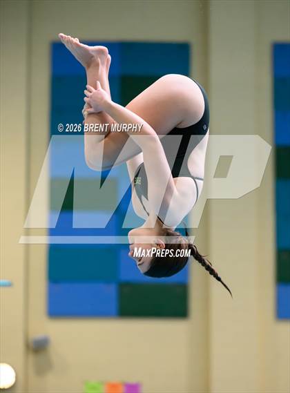 Thumbnail 2 in CHSAA 4A Finals (Diving) photogallery.