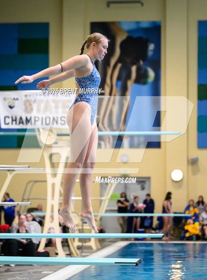 Thumbnail 2 in CHSAA 4A Finals (Diving) photogallery.