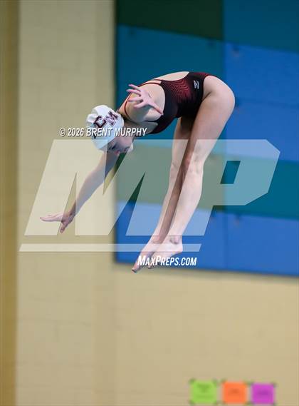 Thumbnail 2 in CHSAA 4A Finals (Diving) photogallery.