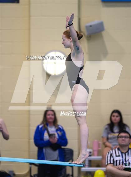 Thumbnail 2 in CHSAA 4A Finals (Diving) photogallery.