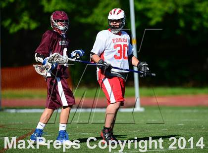 Thumbnail 1 in North Haven @ Foran photogallery.