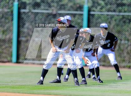 Thumbnail 2 in Chaminade vs Harvard-Westlake photogallery.