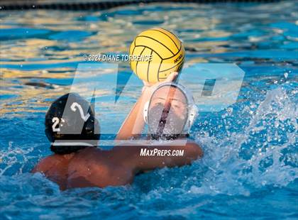 Thumbnail 3 in Newport Harbor @ Foothill photogallery.