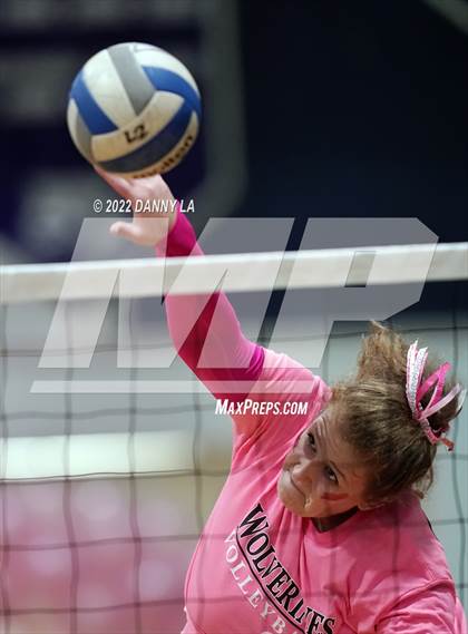 Thumbnail 2 in Alexandria City @ West Potomac photogallery.