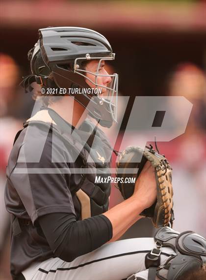 Thumbnail 1 in Sprayberry @ Lassiter photogallery.