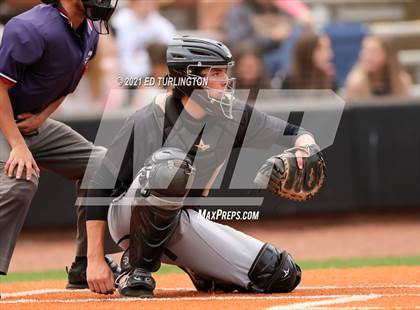 Thumbnail 1 in Sprayberry @ Lassiter photogallery.