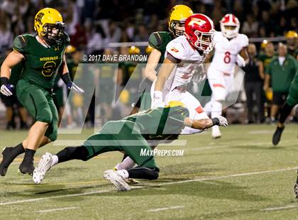 Thumbnail 3 in Paraclete vs Moorpark CIF SS D5 Final) photogallery.