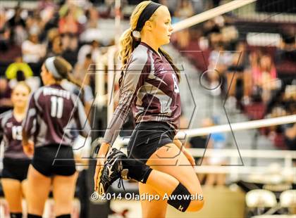 Thumbnail 2 in Rowlett @ Rockwall Heath photogallery.