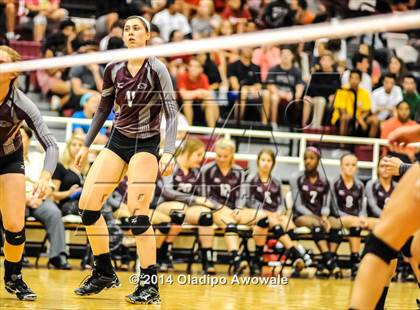 Thumbnail 1 in Rowlett @ Rockwall Heath photogallery.