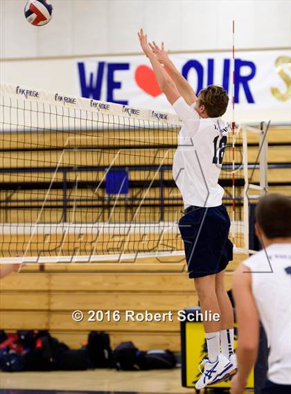 Thumbnail 2 in Jesuit @ Oak Ridge photogallery.