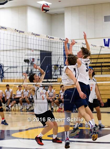 Thumbnail 1 in Jesuit @ Oak Ridge photogallery.