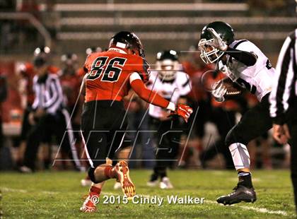 Thumbnail 2 in Elizabeth vs. Conifer photogallery.