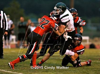 Thumbnail 3 in Elizabeth vs. Conifer photogallery.