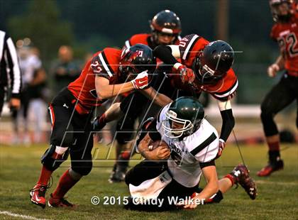 Thumbnail 2 in Elizabeth vs. Conifer photogallery.