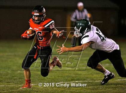 Thumbnail 1 in Elizabeth vs. Conifer photogallery.