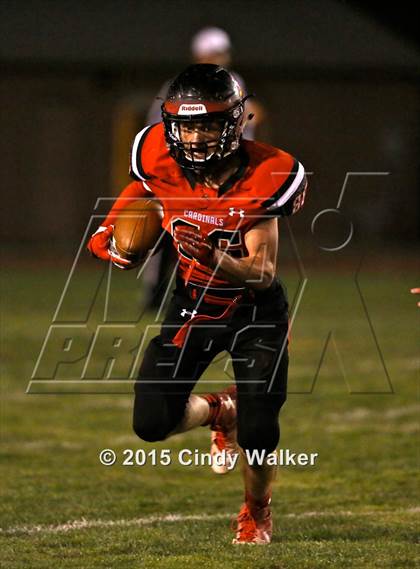 Thumbnail 3 in Elizabeth vs. Conifer photogallery.