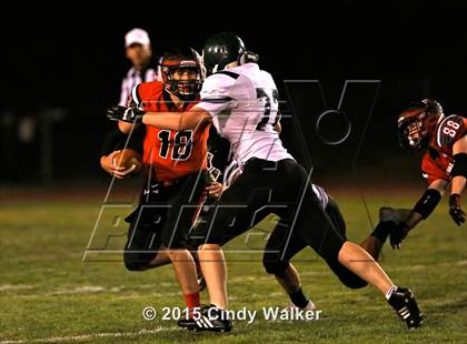 Thumbnail 2 in Elizabeth vs. Conifer photogallery.
