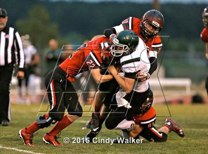 Thumbnail 1 in Elizabeth vs. Conifer photogallery.