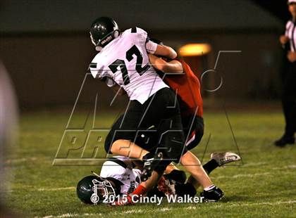 Thumbnail 3 in Elizabeth vs. Conifer photogallery.