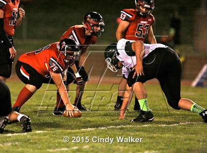 Thumbnail 3 in Elizabeth vs. Conifer photogallery.