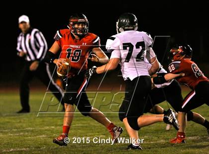 Thumbnail 1 in Elizabeth vs. Conifer photogallery.