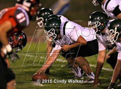 Thumbnail 2 in Elizabeth vs. Conifer photogallery.