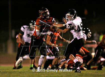 Thumbnail 3 in Elizabeth vs. Conifer photogallery.