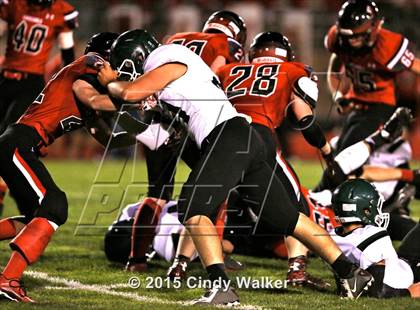 Thumbnail 3 in Elizabeth vs. Conifer photogallery.