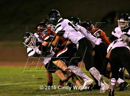 Thumbnail 3 in Elizabeth vs. Conifer photogallery.