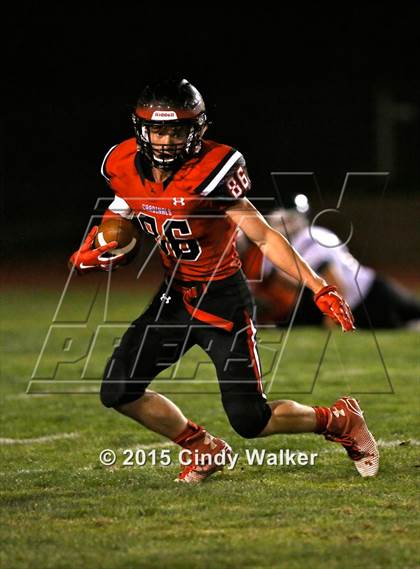 Thumbnail 2 in Elizabeth vs. Conifer photogallery.