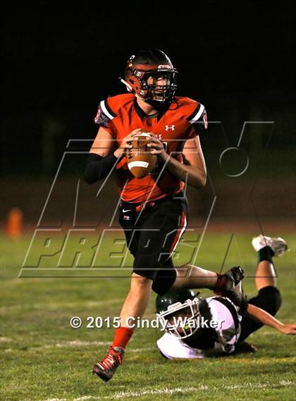 Thumbnail 3 in Elizabeth vs. Conifer photogallery.
