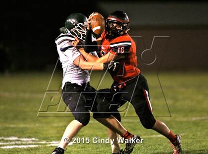 Thumbnail 1 in Elizabeth vs. Conifer photogallery.