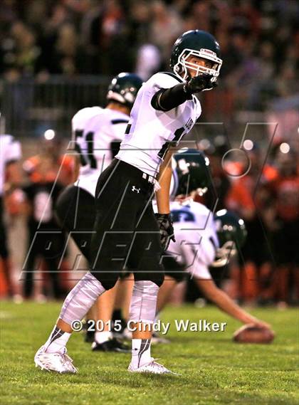 Thumbnail 3 in Elizabeth vs. Conifer photogallery.