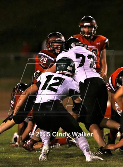 Thumbnail 2 in Elizabeth vs. Conifer photogallery.
