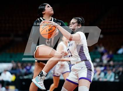 Thumbnail 1 in Alamosa vs. Holy Family (CHSAA 4A Great 8) photogallery.