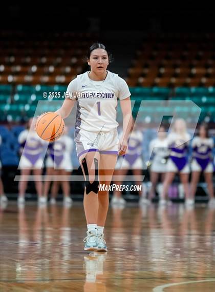 Thumbnail 1 in Alamosa vs. Holy Family (CHSAA 4A Great 8) photogallery.