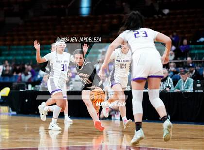 Thumbnail 3 in Alamosa vs. Holy Family (CHSAA 4A Great 8) photogallery.